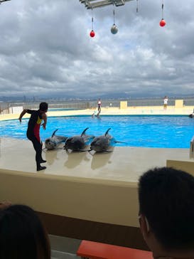 マリンワールド海の中道に投稿された画像（2022/7/19）