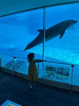 マリンワールド海の中道に投稿された画像（2022/7/19）