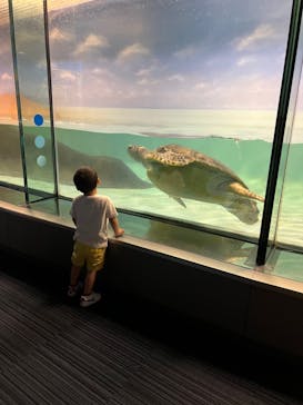 マリンワールド海の中道に投稿された画像（2022/7/19）