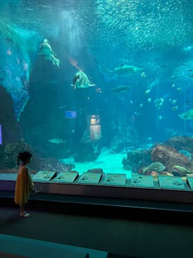 マリンワールド海の中道に投稿された画像（2022/7/19）