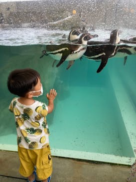 城崎マリンワールドに投稿された画像（2022/7/19）