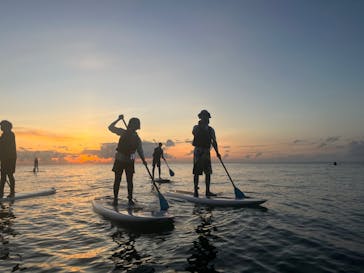 石垣島海ツアーに投稿された画像（2022/7/19）