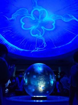 新江ノ島水族館に投稿された画像（2022/7/19）