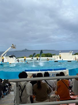 沖縄美ら海水族館に投稿された画像（2022/7/19）