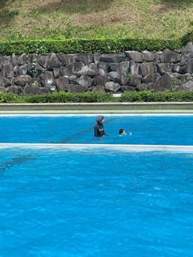 西武園ゆうえんちに投稿された画像（2022/7/20）