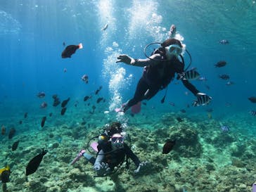 沖縄マリンサービス碧に投稿された画像（2022/7/20）