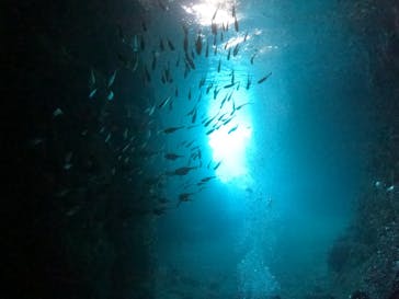 沖縄マリンサービス碧に投稿された画像（2022/7/20）