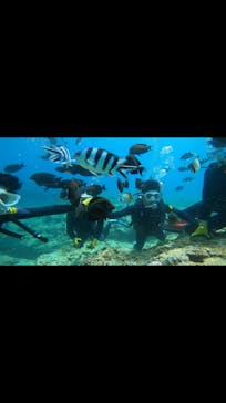 DIVING-SHOP SUNSに投稿された画像（2022/7/20）