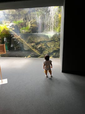 京都水族館に投稿された画像（2022/7/20）