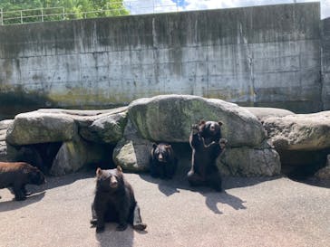 奥飛騨クマ牧場に投稿された画像（2022/7/20）