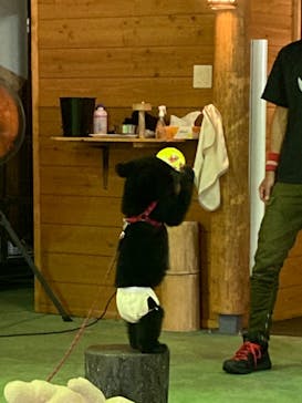 奥飛騨クマ牧場に投稿された画像（2022/7/20）