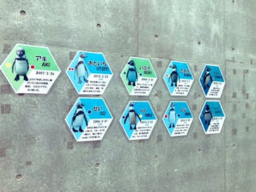 九十九島動植物園森きららに投稿された画像（2022/7/20）