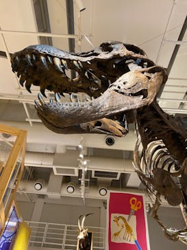 国立科学博物館に投稿された画像（2022/7/20）