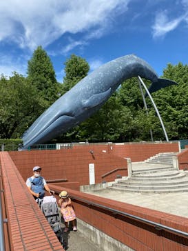 国立科学博物館に投稿された画像（2022/7/20）