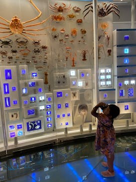 国立科学博物館に投稿された画像（2022/7/20）