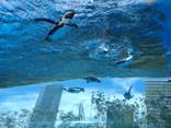 サンシャイン水族館に投稿された画像（2022/7/20）