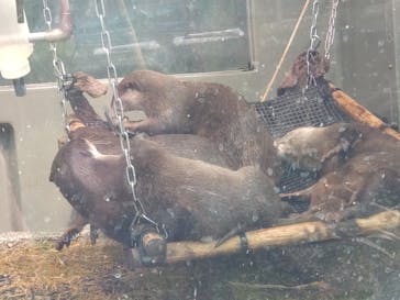 サンシャイン水族館に投稿された画像（2022/7/20）