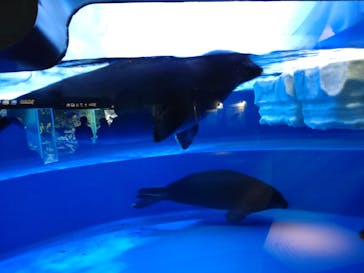 サンシャイン水族館に投稿された画像（2022/7/20）