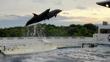 京都水族館に投稿された画像（2022/7/20）