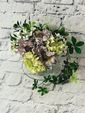 プティアメリに投稿された画像（2022/7/20）