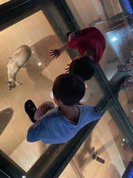 国立科学博物館に投稿された画像（2022/7/20）