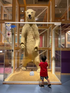 国立科学博物館に投稿された画像（2022/7/20）