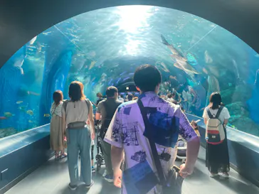 マクセル アクアパーク品川に投稿された画像（2022/7/20）