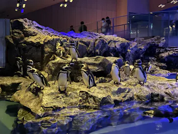 すみだ水族館に投稿された画像（2022/7/20）