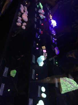 特別展「宝石　地球がうみだすキセキ」（名古屋市科学館　理工館地下２階イベントホール）に投稿された画像（2022/7/20）