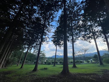 まかいの牧場に投稿された画像（2022/7/20）