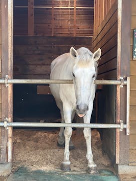 まかいの牧場に投稿された画像（2022/7/20）