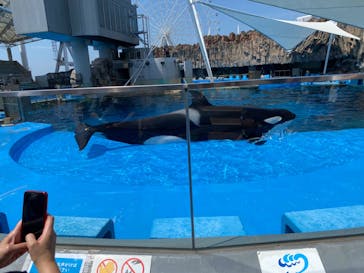 名古屋港水族館に投稿された画像（2022/7/20）