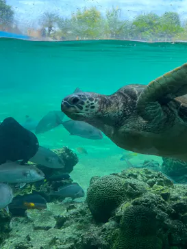 横浜・八景島シーパラダイスに投稿された画像（2022/7/20）