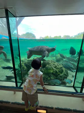 横浜・八景島シーパラダイスに投稿された画像（2022/7/20）