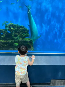 横浜・八景島シーパラダイスに投稿された画像（2022/7/20）