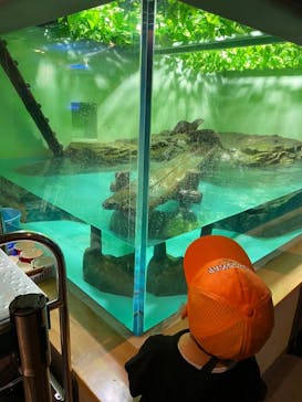 しながわ水族館に投稿された画像（2022/7/20）