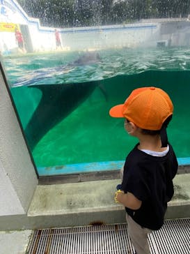 しながわ水族館に投稿された画像（2022/7/20）