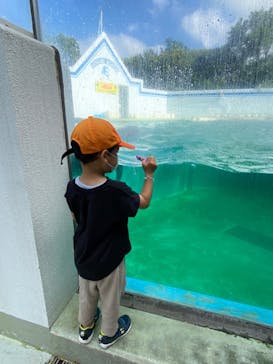 しながわ水族館に投稿された画像（2022/7/20）