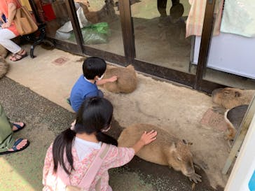 伊豆シャボテン動物公園に投稿された画像（2022/7/21）