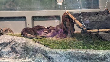 サンシャイン水族館に投稿された画像（2022/7/21）