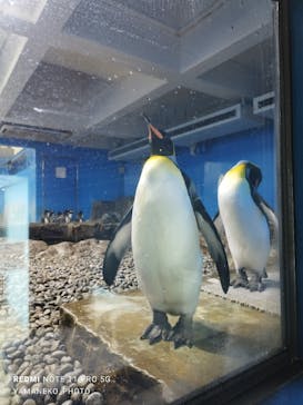 南知多ビーチランド＆南知多おもちゃ王国に投稿された画像（2022/7/21）