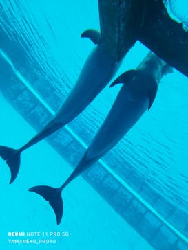 南知多ビーチランド＆南知多おもちゃ王国に投稿された画像（2022/7/21）