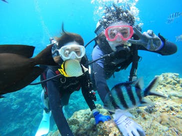 武藤潜水に投稿された画像（2022/7/21）