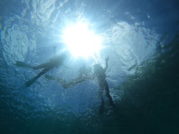 DIVING-SHOP SUNSに投稿された画像（2022/7/21）