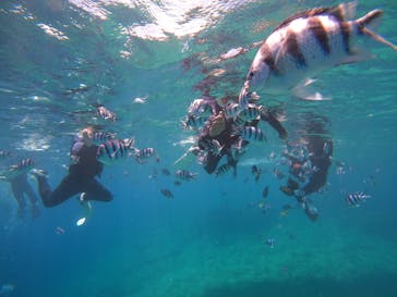 DIVING-SHOP SUNSに投稿された画像（2022/7/21）