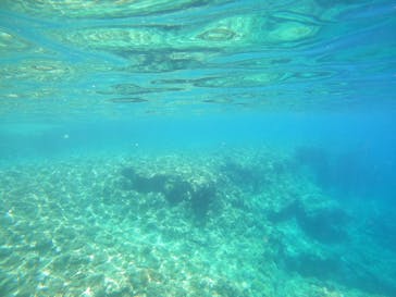 DIVING-SHOP SUNSに投稿された画像（2022/7/21）