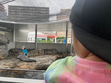 しながわ水族館に投稿された画像（2022/7/21）