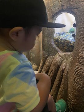 しながわ水族館に投稿された画像（2022/7/21）