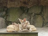 伊豆シャボテン動物公園に投稿された画像（2022/7/21）