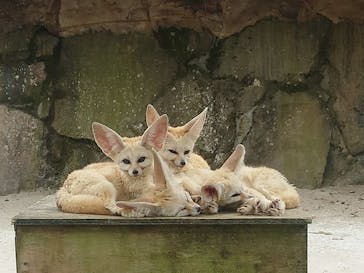 伊豆シャボテン動物公園に投稿された画像（2022/7/21）